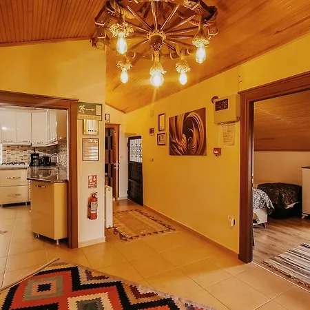 Taskiran House Ortahisar