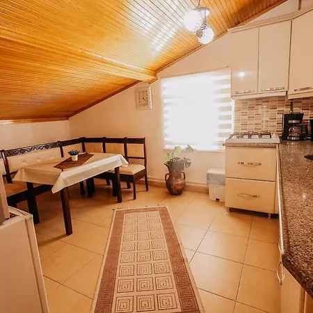 アパートホテル Taskiran House *
