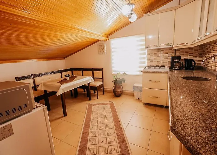 アパートホテル Taskiran House 4*