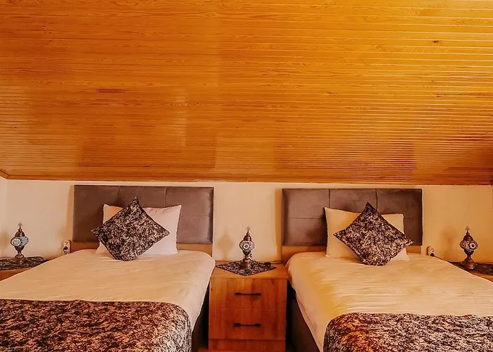 Taskiran House Ortahisar