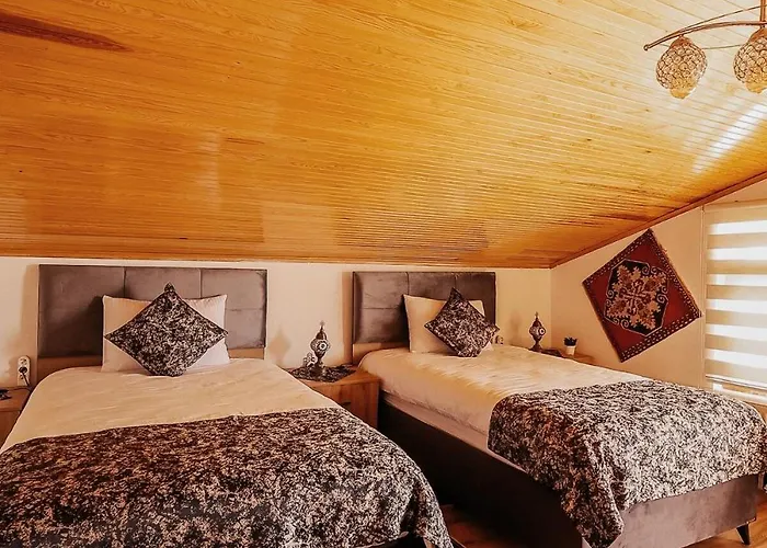 Taskiran House アパートホテル Ortahisar